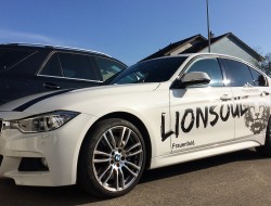 Lionsoul BMW