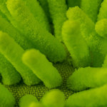 Chemical Guys Gant de toilette en microfibre Jaune Chemical Guys Gant de toilette en microfibre Jaune